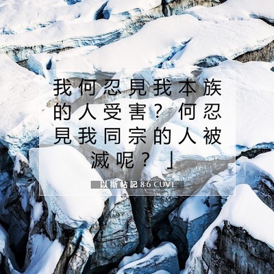 Picture 07 - 以 斯 帖 記 8:6 CUVT - 我 何 忍 見 我 本 族 的 人 受 害 ？ - Bible Verse Picture