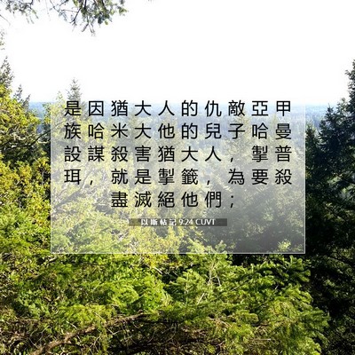 Picture 07 - 以 斯 帖 記 9:24 CUVT - 是 因 猶 大 人 的 仇 敵 亞 甲 族 哈 - Bible Verse Picture