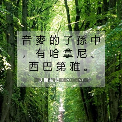 Picture 07 - 以 斯 拉 記 10:20 CUVT - 音 麥 的 子 孫 中 ， 有 哈 拿 尼 、 - Bible Verse Picture
