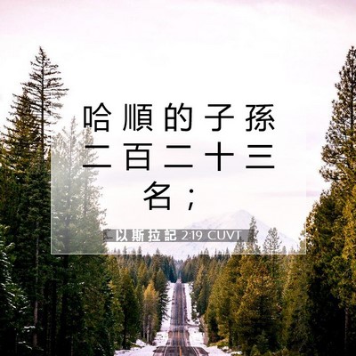Picture 07 - 以 斯 拉 記 2:19 CUVT - 哈 順 的 子 孫 二 百 二 十 三 名 - Bible Verse Picture
