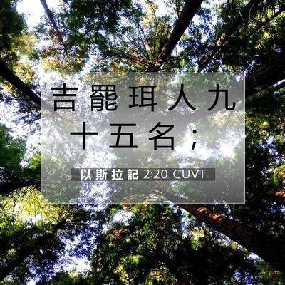 Picture 07 - 以 斯 拉 記 2:20 CUVT - 吉 罷 珥 人 九 十 五 名 - Bible Verse Picture