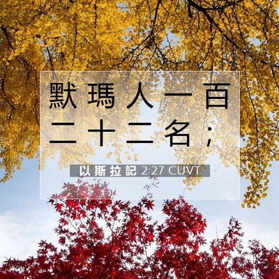 Picture 07 - 以 斯 拉 記 2:27 CUVT - 默 瑪 人 一 百 二 十 二 名 - Bible Verse Picture
