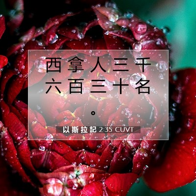 Picture 07 - 以 斯 拉 記 2:35 CUVT - 西 拿 人 三 千 六 百 三 十 名 - Bible Verse Picture