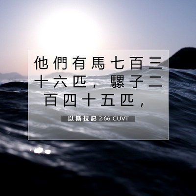 Picture 07 - 以 斯 拉 記 2:66 CUVT - 他 們 有 馬 七 百 三 十 六 匹 ， 騾 - Bible Verse Picture