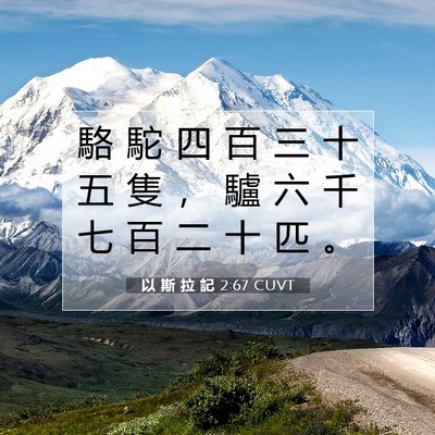 Picture 07 - 以 斯 拉 記 2:67 CUVT - 駱 駝 四 百 三 十 五 隻 ， 驢 六 千 - Bible Verse Picture