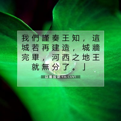 Picture 07 - 以 斯 拉 記 4:16 CUVT - 我 們 謹 奏 王 知 ， 這 城 若 再 建 - Bible Verse Picture