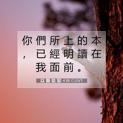 Picture 07 - 以 斯 拉 記 4:18 CUVT - 你 們 所 上 的 本 ， 已 經 明 讀 在 - Bible Verse Picture