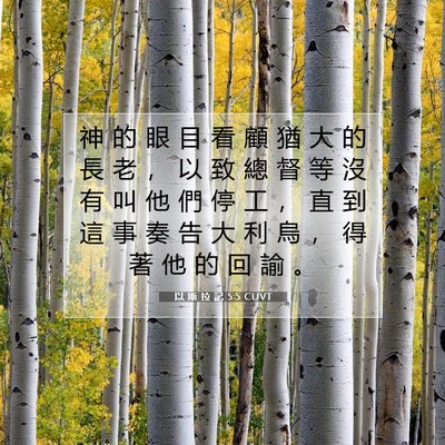 Picture 07 - 以 斯 拉 記 5:5 CUVT - 神 的 眼 目 看 顧 猶 大 的 長 老 ， - Bible Verse Picture