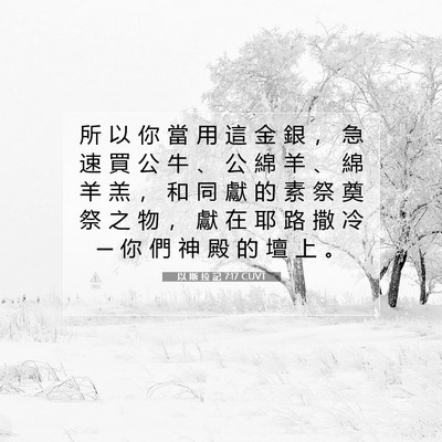 Picture 07 - 以 斯 拉 記 7:17 CUVT - 所 以 你 當 用 這 金 銀 ， 急 速 買 - Bible Verse Picture