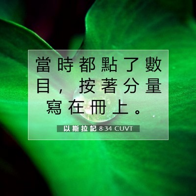 Picture 07 - 以 斯 拉 記 8:34 CUVT - 當 時 都 點 了 數 目 ， 按 著 分 量 - Bible Verse Picture