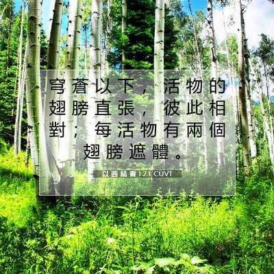 Picture 07 - 以 西 結 書 1:23 CUVT - 穹 蒼 以 下 ， 活 物 的 翅 膀 直 張 - Bible Verse Picture
