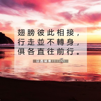 Picture 07 - 以 西 結 書 1:9 CUVT - 翅 膀 彼 此 相 接 ， 行 走 並 不 轉 - Bible Verse Picture