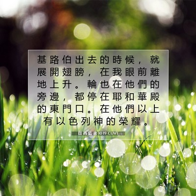 Picture 07 - 以 西 結 書 10:19 CUVT - 基 路 伯 出 去 的 時 候 ， 就 展 開 - Bible Verse Picture