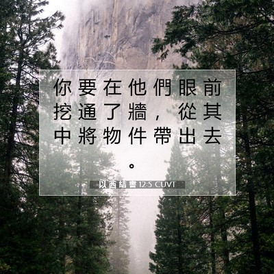 Picture 07 - 以 西 結 書 12:5 CUVT - 你 要 在 他 們 眼 前 挖 通 了 牆 ， - Bible Verse Picture