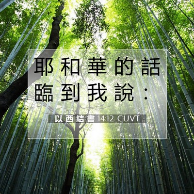 Picture 07 - 以 西 結 書 14:12 CUVT - 耶 和 華 的 話 臨 到 我 說 - Bible Verse Picture