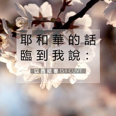 Picture 07 - 以 西 結 書 15:1 CUVT - 耶 和 華 的 話 臨 到 我 說 - Bible Verse Picture