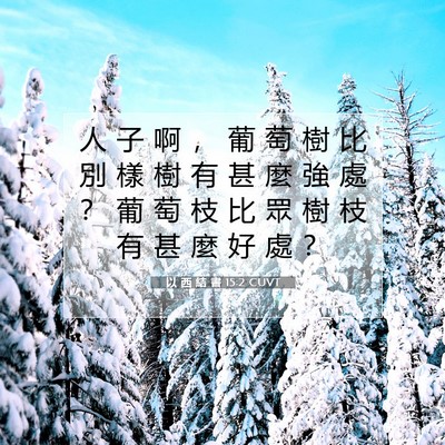 Picture 07 - 以 西 結 書 15:2 CUVT - 人 子 啊 ， 葡 萄 樹 比 別 樣 樹 有 - Bible Verse Picture