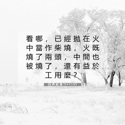 Picture 07 - 以 西 結 書 15:4 CUVT - 看 哪 ， 已 經 拋 在 火 中 當 作 柴 - Bible Verse Picture