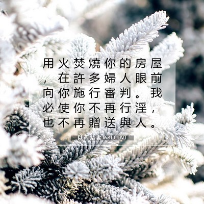 Picture 07 - 以 西 結 書 16:41 CUVT - 用 火 焚 燒 你 的 房 屋 ， 在 許 多 - Bible Verse Picture