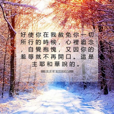 Picture 07 - 以 西 結 書 16:63 CUVT - 好 使 你 在 我 赦 免 你 一 切 所 行 - Bible Verse Picture