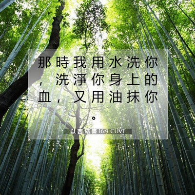 Picture 07 - 以 西 結 書 16:9 CUVT - 那 時 我 用 水 洗 你 ， 洗 淨 你 身 - Bible Verse Picture