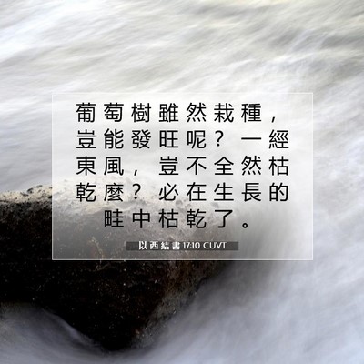 Picture 07 - 以 西 結 書 17:10 CUVT - 葡 萄 樹 雖 然 栽 種 ， 豈 能 發 旺 - Bible Verse Picture