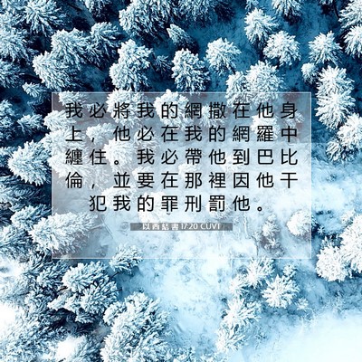 Picture 07 - 以 西 結 書 17:20 CUVT - 我 必 將 我 的 網 撒 在 他 身 上 ， - Bible Verse Picture