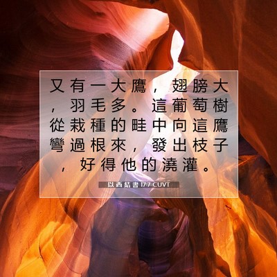 Picture 07 - 以 西 結 書 17:7 CUVT - 又 有 一 大 鷹 ， 翅 膀 大 ， 羽 毛 - Bible Verse Picture