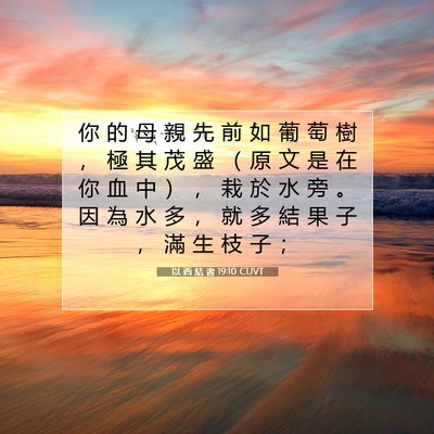 Picture 07 - 以 西 結 書 19:10 CUVT - 你 的 母 親 先 前 如 葡 萄 樹 ， 極 - Bible Verse Picture
