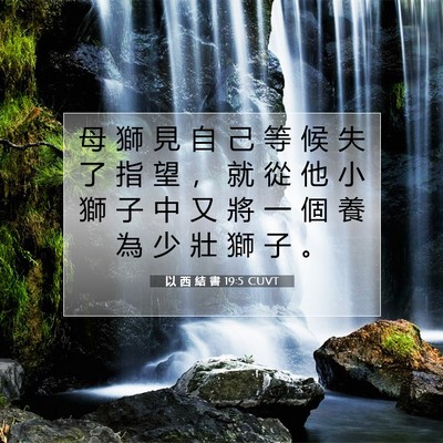 Picture 07 - 以 西 結 書 19:5 CUVT - 母 獅 見 自 己 等 候 失 了 指 望 ， - Bible Verse Picture
