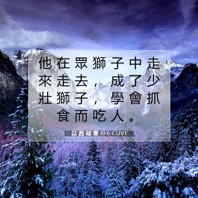 Picture 07 - 以 西 結 書 19:6 CUVT - 他 在 眾 獅 子 中 走 來 走 去 ， 成 - Bible Verse Picture