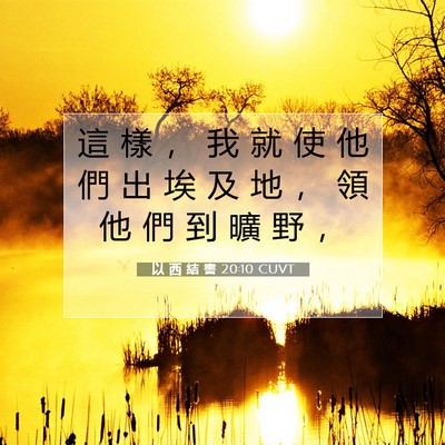 Picture 07 - 以 西 結 書 20:10 CUVT - 這 樣 ， 我 就 使 他 們 出 埃 及 地 - Bible Verse Picture