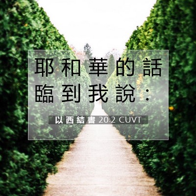 Picture 07 - 以 西 結 書 20:2 CUVT - 耶 和 華 的 話 臨 到 我 說 - Bible Verse Picture