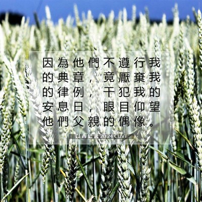 Picture 07 - 以 西 結 書 20:24 CUVT - 因 為 他 們 不 遵 行 我 的 典 章 ， - Bible Verse Picture