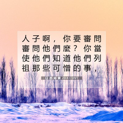 Picture 07 - 以 西 結 書 20:4 CUVT - 人 子 啊 ， 你 要 審 問 審 問 他 們 - Bible Verse Picture