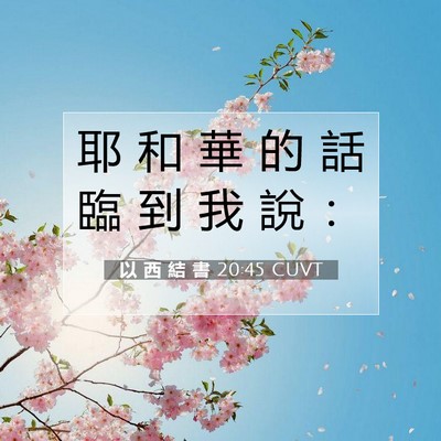Picture 07 - 以 西 結 書 20:45 CUVT - 耶 和 華 的 話 臨 到 我 說 - Bible Verse Picture