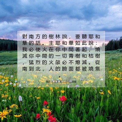 Picture 07 - 以 西 結 書 20:47 CUVT - 對 南 方 的 樹 林 說 ， 要 聽 耶 和 - Bible Verse Picture