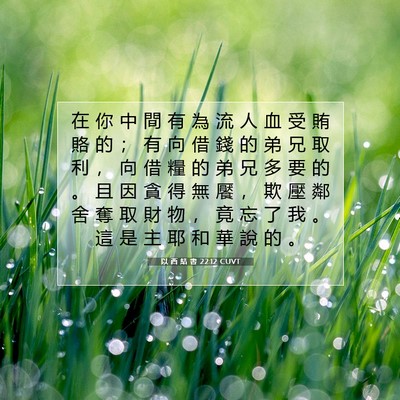 Picture 07 - 以 西 結 書 22:12 CUVT - 在 你 中 間 有 為 流 人 血 受 賄 賂 - Bible Verse Picture