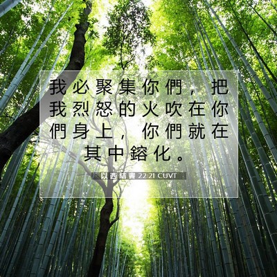 Picture 07 - 以 西 結 書 22:21 CUVT - 我 必 聚 集 你 們 ， 把 我 烈 怒 的 - Bible Verse Picture