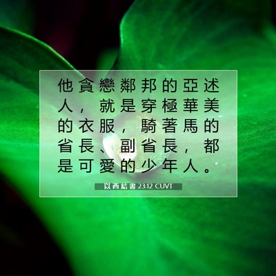 Picture 07 - 以 西 結 書 23:12 CUVT - 他 貪 戀 鄰 邦 的 亞 述 人 ， 就 是 - Bible Verse Picture