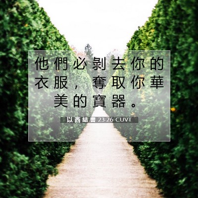 Picture 07 - 以 西 結 書 23:26 CUVT - 他 們 必 剝 去 你 的 衣 服 ， 奪 取 - Bible Verse Picture