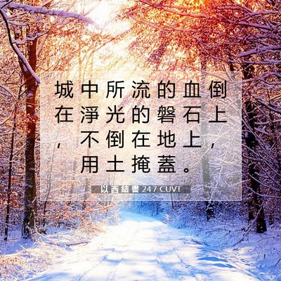 Picture 07 - 以 西 結 書 24:7 CUVT - 城 中 所 流 的 血 倒 在 淨 光 的 磐 - Bible Verse Picture