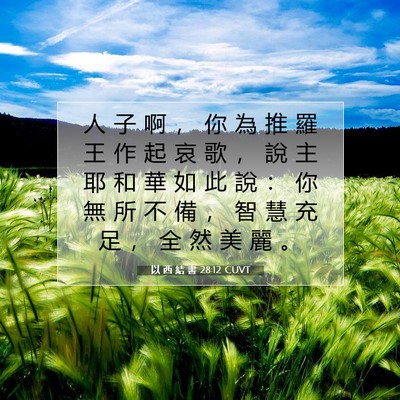 Picture 07 - 以 西 結 書 28:12 CUVT - 人 子 啊 ， 你 為 推 羅 王 作 起 哀 - Bible Verse Picture