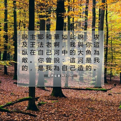 Picture 07 - 以 西 結 書 29:3 CUVT - 說 主 耶 和 華 如 此 說 ： 埃 及 王 - Bible Verse Picture