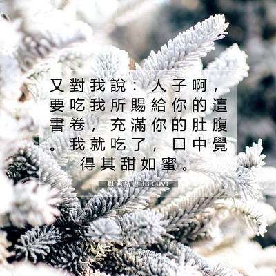 Picture 07 - 以 西 結 書 3:3 CUVT - 又 對 我 說 ： 人 子 啊 ， 要 吃 我 - Bible Verse Picture