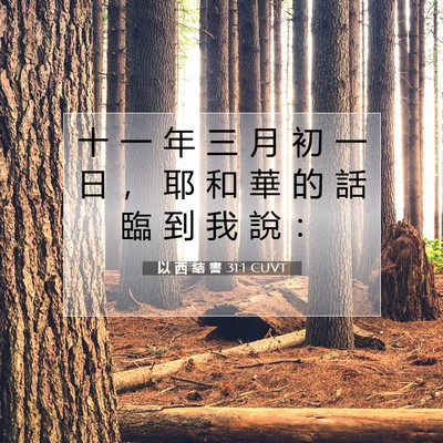 Picture 07 - 以 西 結 書 31:1 CUVT - 十 一 年 三 月 初 一 日 ， 耶 和 華 - Bible Verse Picture