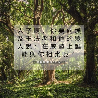 Picture 07 - 以 西 結 書 31:2 CUVT - 人 子 啊 ， 你 要 向 埃 及 王 法 老 - Bible Verse Picture