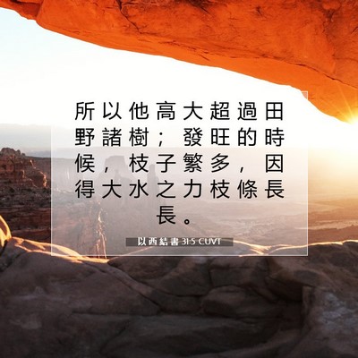 Picture 07 - 以 西 結 書 31:5 CUVT - 所 以 他 高 大 超 過 田 野 諸 樹 ； - Bible Verse Picture