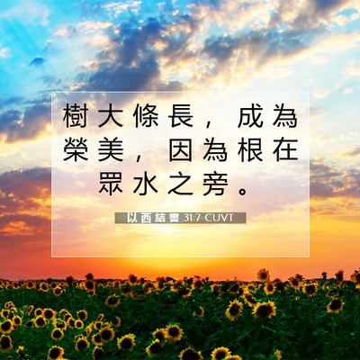 Picture 07 - 以 西 結 書 31:7 CUVT - 樹 大 條 長 ， 成 為 榮 美 ， 因 為 - Bible Verse Picture