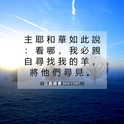 Picture 07 - 以 西 結 書 34:11 CUVT - 主 耶 和 華 如 此 說 ： 看 哪 ， 我 - Bible Verse Picture